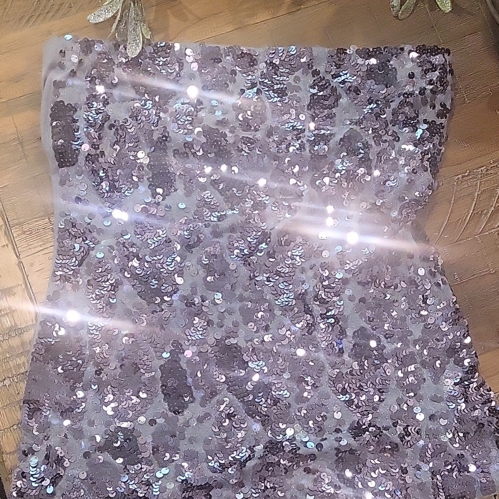 Express Silver Sequin Top